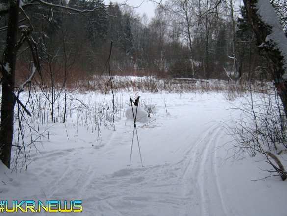 МОЛНИЯ: украинские террористы вторглись на территорию России и устанавливают мины и фугасы | Русская весна