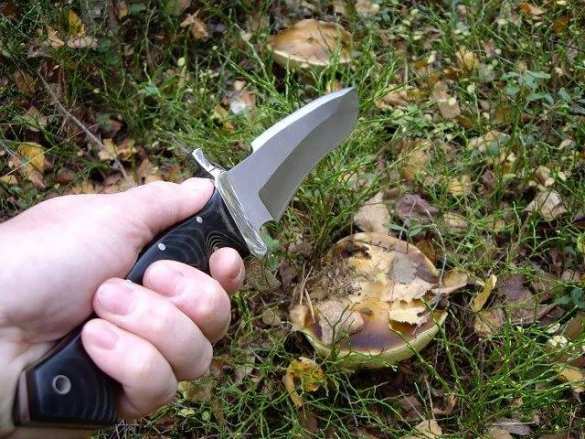 Белорус вторгся в Литву ради гриба | Русская весна