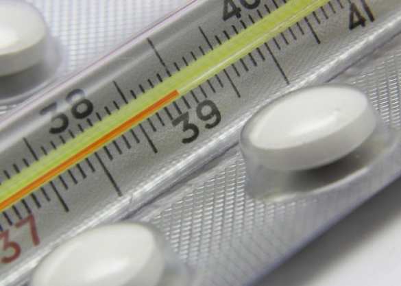 Грипп становится опаснее, Украина — беззащитнее | Русская весна