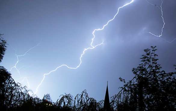 Дерево убило двух человек во Львове (ФОТО) | Русская весна