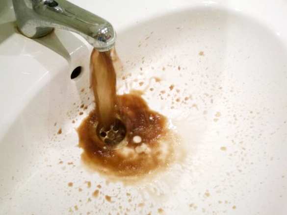 В Днепр сливают канализацию и запрещённую химию, —  лидер украинских аграриев | Русская весна