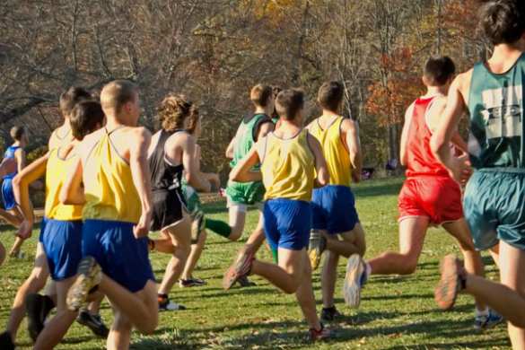 В России возрожден комплекс ГТО | Русская весна