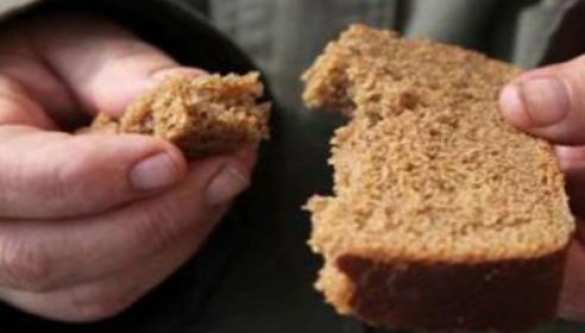 Чтобы пенсионер «не наглел»: в Киеве социальный хлеб будут продавать по карточкам | Русская весна