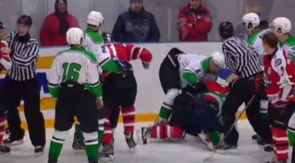 Ледовое побоище: Донбасс разгромил Киев со счетом 20:0, после чего хоккеисты устроили массовую драку на льду (ВИДЕО) | Русская весна