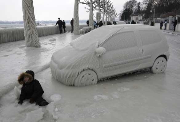 Во Владивосток прибыла партия «замороженных» японских автомобилей (ФОТО, ВИДЕО) | Русская весна