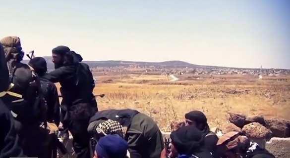 Бритые медведи — помощники ИГИЛ | Русская весна