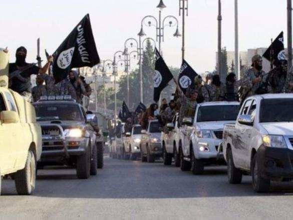 Десятки людей, служившие живым щитом для боевиков ИГИЛ, освобождены в Ираке | Русская весна