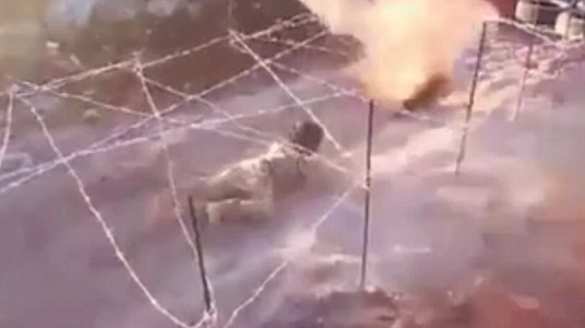 Кадры тренировки 6-летнего террориста ИГИЛ шокировали Сеть (ВИДЕО) | Русская весна