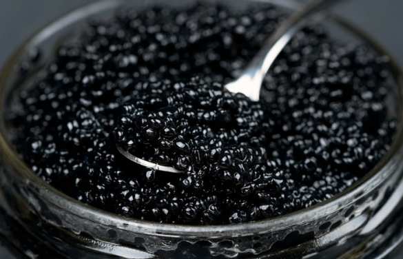 В Польше задержали двух украинцев со 160 кг черной икры (ФОТО) | Русская весна