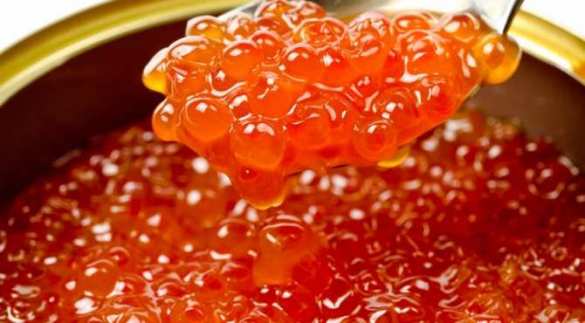 Красная икра подешевела в два раза, — Росрыболовство | Русская весна