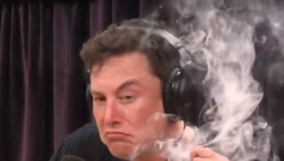 Трамп назвал его «большим наркоманом»: незадолго до ссоры Маск подрался с министром финансов Бессентом | Русская весна