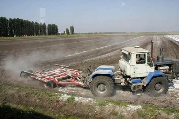 Из-за нехватки средств на Украине не засеют как минимум 20% полей | Русская весна