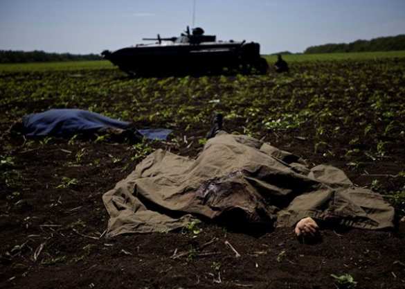 Пока министры воруют деньги, предназначенные для армии, украинские солдаты гибнут из-за отсутствия бронежилетов и медикаментов | Русская весна