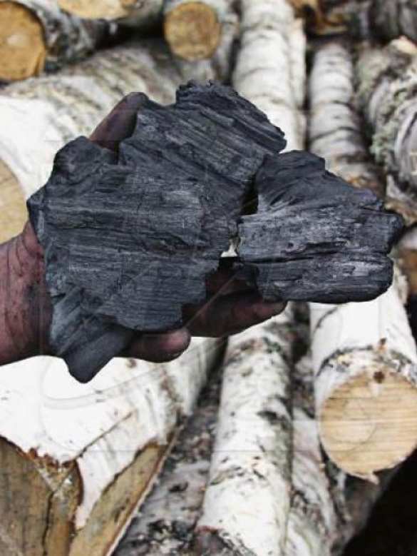 На военных котельных украинский бюджет нагрели на 68 млн гривен | Русская весна