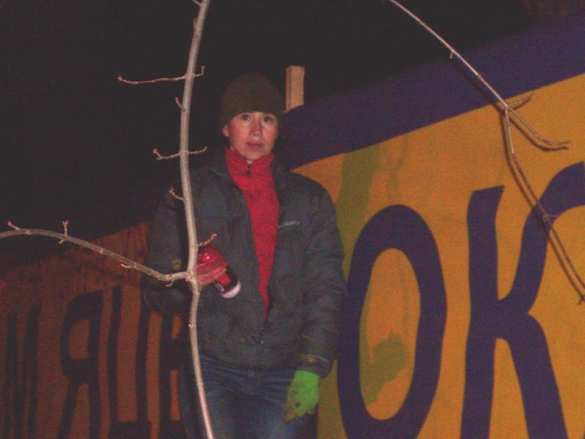 Скандально известная нардеп Чорновол устроила пьяный дебош на «тарифном майдане» (ФОТО, ВИДЕО) | Русская весна