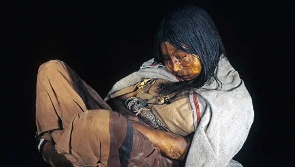 Анализ ДНК подтверждает вину европейцев в геноциде индейцев | Русская весна