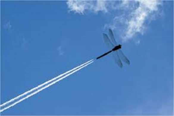 Брифинг ВСУ: Доказательство присутствия Российской авиации на Украине (ВИДЕО) | Русская весна