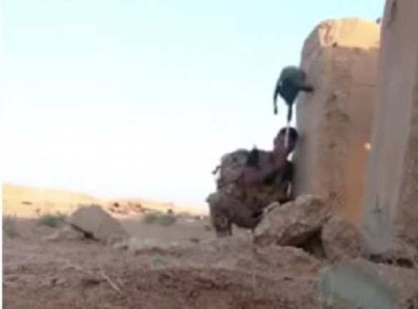 Перехитрил смерть: иракский солдат вырвался из ловушки снайпера «ИГИЛ», пытавшегося его убить (ВИДЕО) | Русская весна