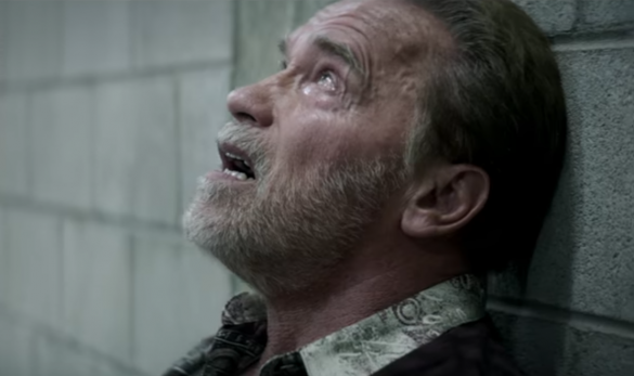 Я разочарован Шварценеггером, — россиянин, чья трагедия легла в основу голливудского фильма (+ФОТО, ВИДЕО) | Русская весна