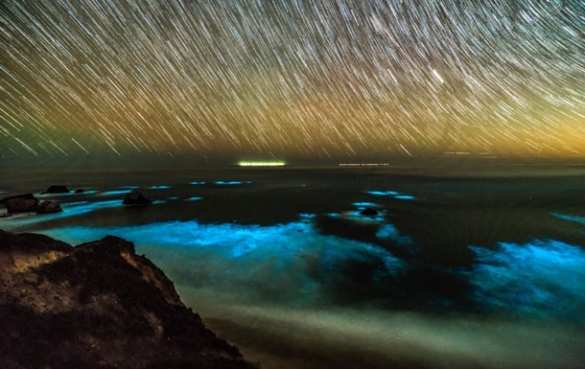 У побережья США светится океан — необычные кадры (ФОТО) | Русская весна