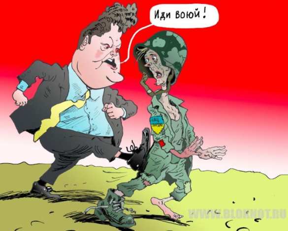 Шокирующие кадры: Украинские военные живут в нечеловеческих условиях (ФОТО) | Русская весна