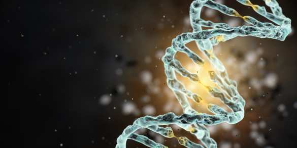 Карта белков-мутантов найдет уязвимые точки в раковых клетках | Русская весна