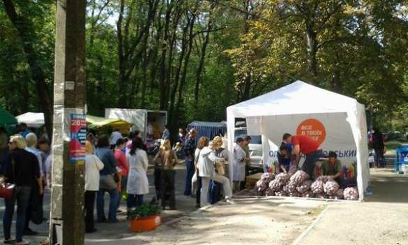 В Киеве голоса избирателей покупают за картофель, — депутат (ФОТО) | Русская весна