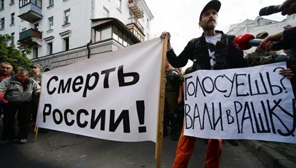 В Общественной палате просят ООН разобраться в ситуации с диппредставительствами России на Украине | Русская весна