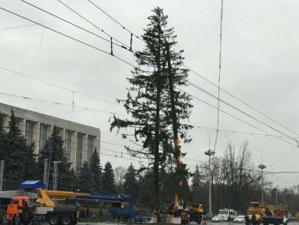 Лысый ствол, редкие ветки: украинская елка стала новогодним скандалом в Кишиневе (+ФОТО) | Русская весна