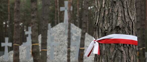 Посол Украины вызван в МИД Польши в связи с осквернением польского кладбища | Русская весна