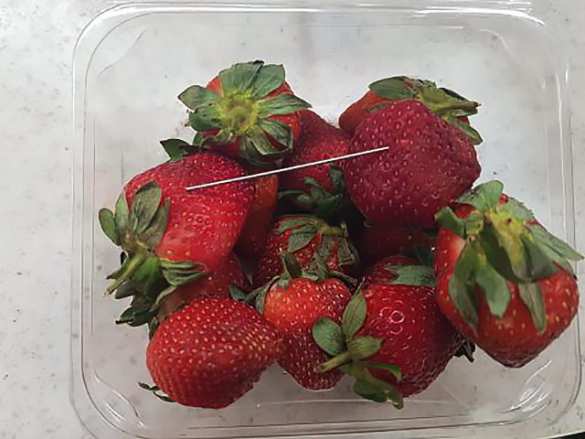 «10 лет тюрьмы для любого идиота»: Австралию атаковали маньяки с иглами | Русская весна