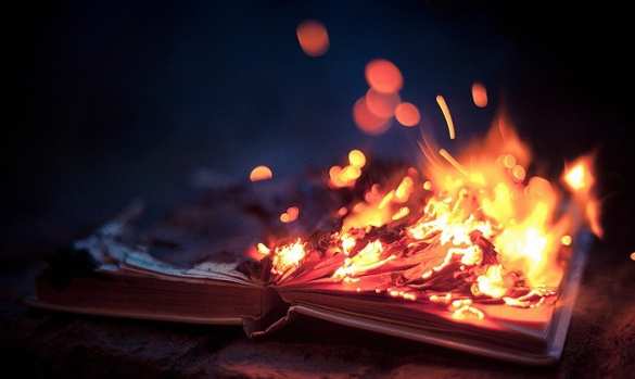 Армия Литвы объявила войну российским книгам (ВИДЕО) | Русская весна