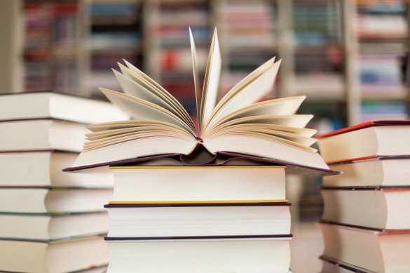 Книги фонда Сороса не сжигали, — Минкультуры РФ | Русская весна