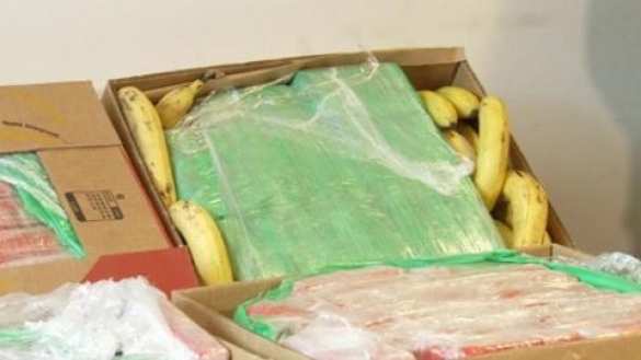 В Польше изъяли партию кокаина на 27 млн долларов | Русская весна