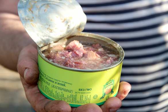 В Латвии предложили делать мины вместо консервов, ведь они «похожи» | Русская весна