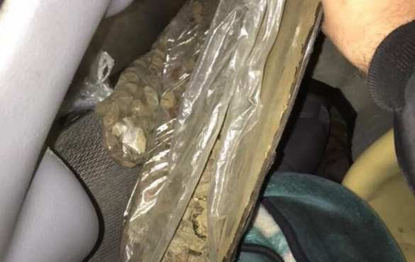 Новости безвиза: украинец вез в Польшу десятки кило янтаря (ФОТО, ВИДЕО) | Русская весна