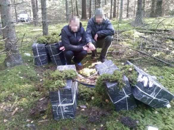 На Закарпатье контрабандисты избивают пограничников | Русская весна