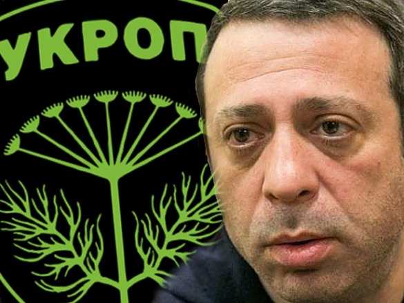 Правую руку Коломойского будут арестовывать снова и снова | Русская весна