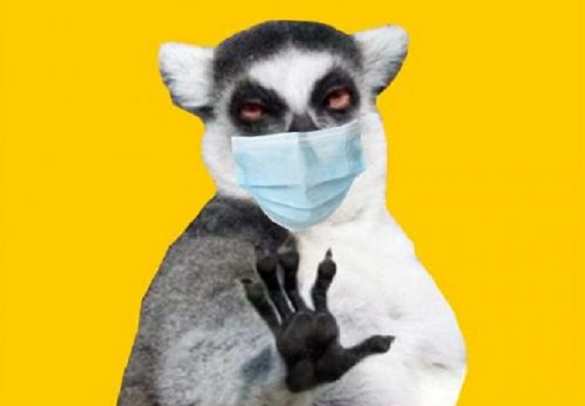 Антикоронавирусный парламент Украины | Русская весна