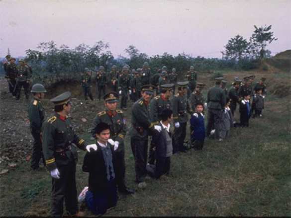 Схватка с тигром | Русская весна