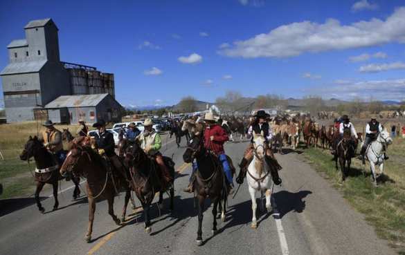 Конный отряд «ковбоев» ЛНР угнал 480 овец и направил их в Россию, — МВД Украины Конный отряд «ковбоев» ЛНР угнал 480 овец и направил их в Россию, — МВД Украины | Русская весна