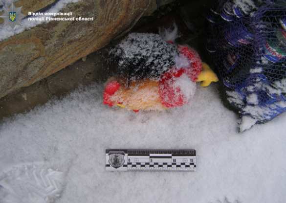 Под Ровно мужчине во двор подбросили петушка с гранатой (ФОТО) | Русская весна