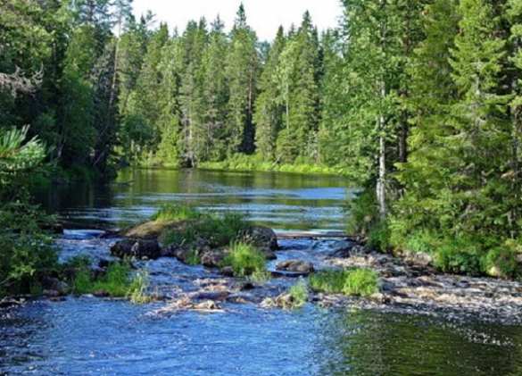 Кремль взял под защиту заповедники Крыма | Русская весна