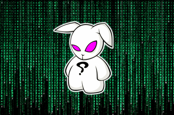 Как «Плохой Кролик» заскочил в Россию (ИНФОГРАФИКА) | Русская весна