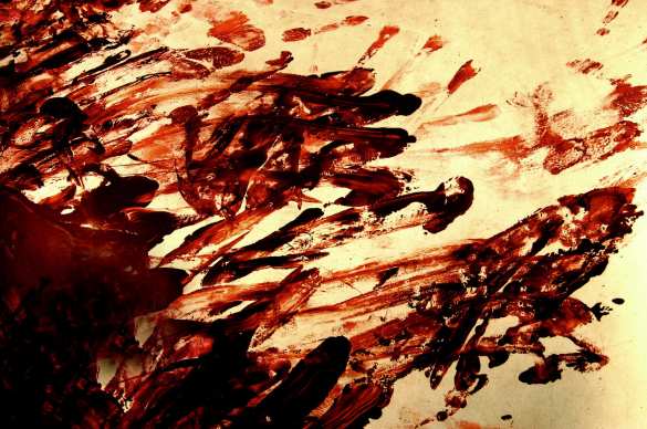 На Украине самодельная ловушка от воров расстреляла 6-летнюю дочь хозяина дома и её подругу (ФОТО) | Русская весна