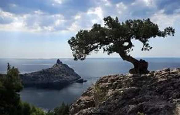 «Экологическая» пятая колонна против Крыма — мнение | Русская весна