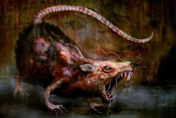 Холод, теснота и крысы — украинские военные показали свои условия жизни | Русская весна