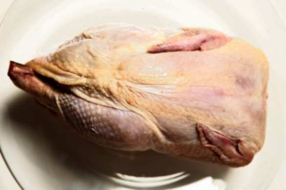 Крым вернул на Украину испорченную курятину | Русская весна