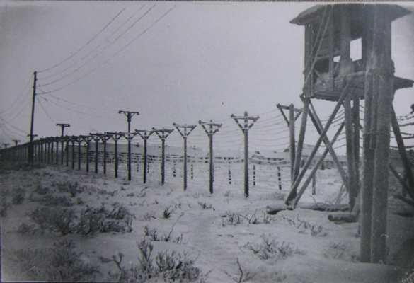 Боевиков ИГИЛ сошлют в Сибирь и сделают рабами, — «Голос Ливии» (ФОТО) | Русская весна