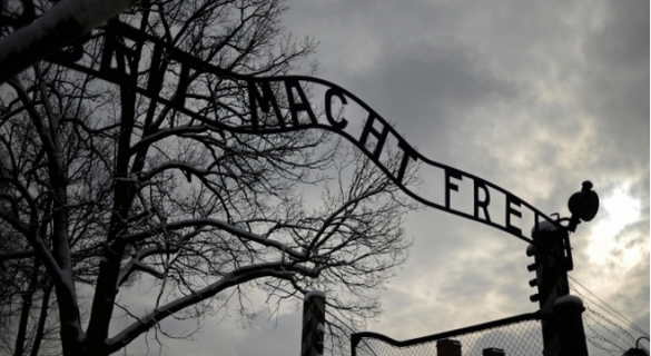 Немке предъявили обвинения в пособничестве убийствам в Освенциме | Русская весна